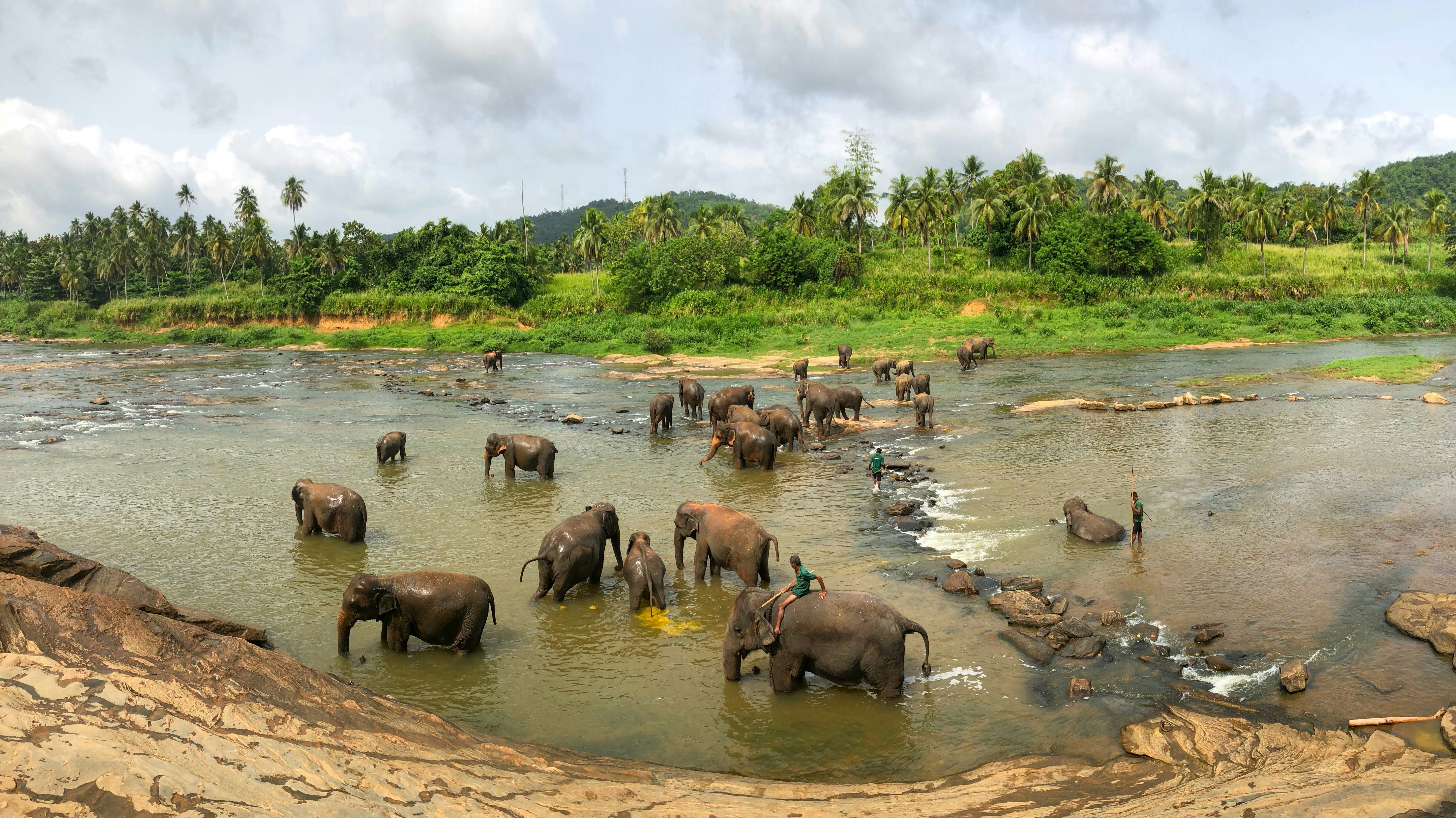 Sri Lanka landscape