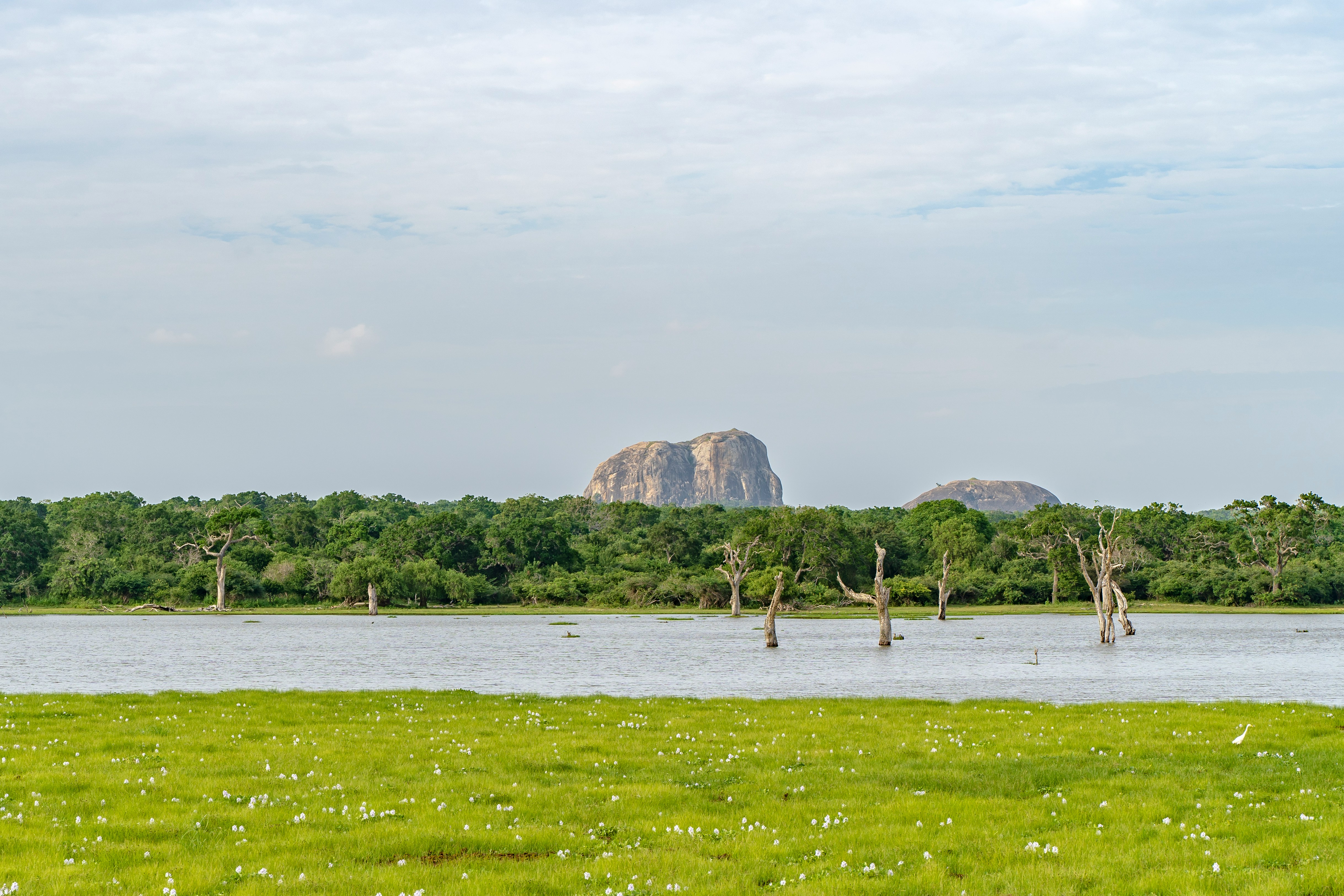 Sri Lanka landscape